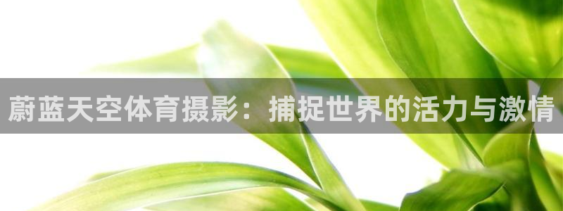 xc体育app官方网站：蔚蓝天空体育摄影：捕捉世界的活力与激情