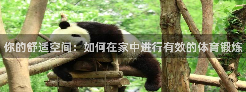 xc体育：你的舒适空间：如何在家中进行有效的体育锻炼