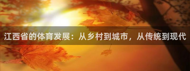 xc体育：江西省的体育发展：从乡村到城市，从传统到现代