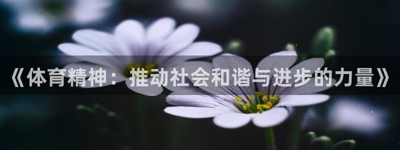 xc体育app官方网站：《体育精神：推动社会和谐与进步的力量》