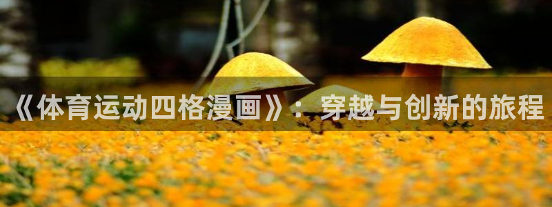 xc体育：《体育运动四格漫画》：穿越与创新的旅程