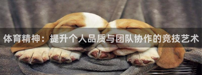 xc体育：体育精神：提升个人品质与团队协作的竞技艺术