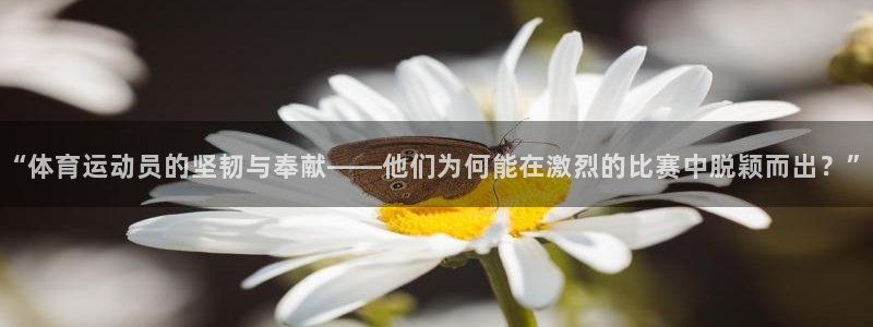 xc体育：“体育运动员的坚韧与奉献——他们为何能在激烈的比赛中脱颖而出？”
