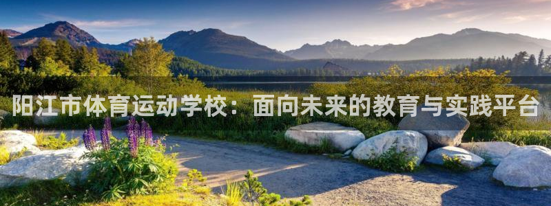 xc体育：阳江市体育运动学校：面向未来的教育与实践平台