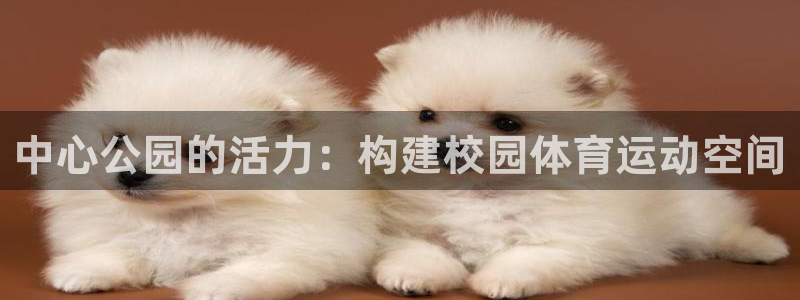 xc体育app官方网站：中心公园的活力：构建校园体育运动空间