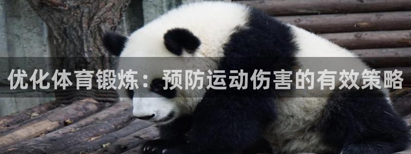 xc体育：优化体育锻炼：预防运动伤害的有效策略